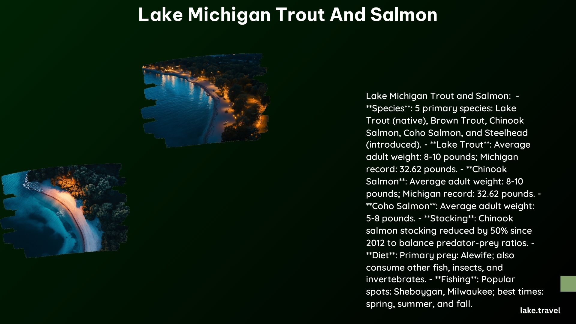 Lake Michigan Trout and Salmon