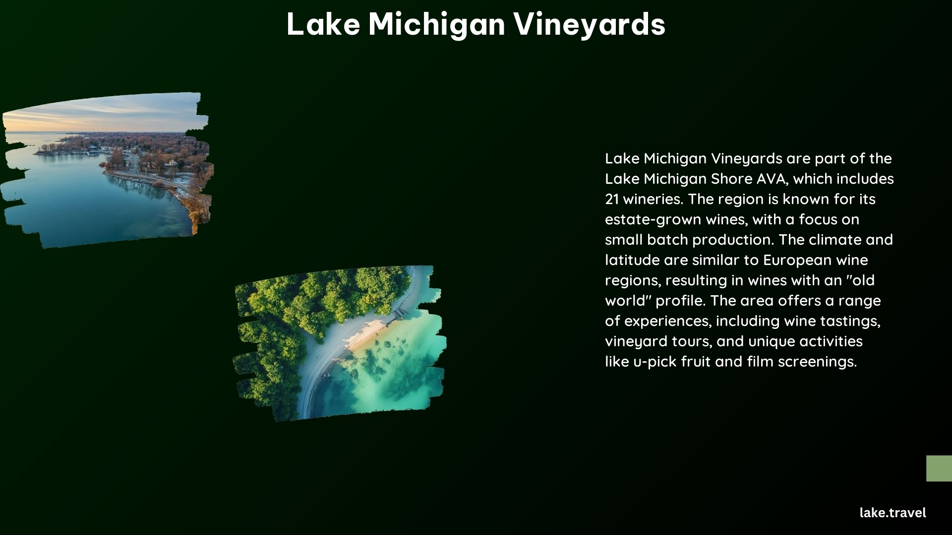 Lake Michigan Vineyards