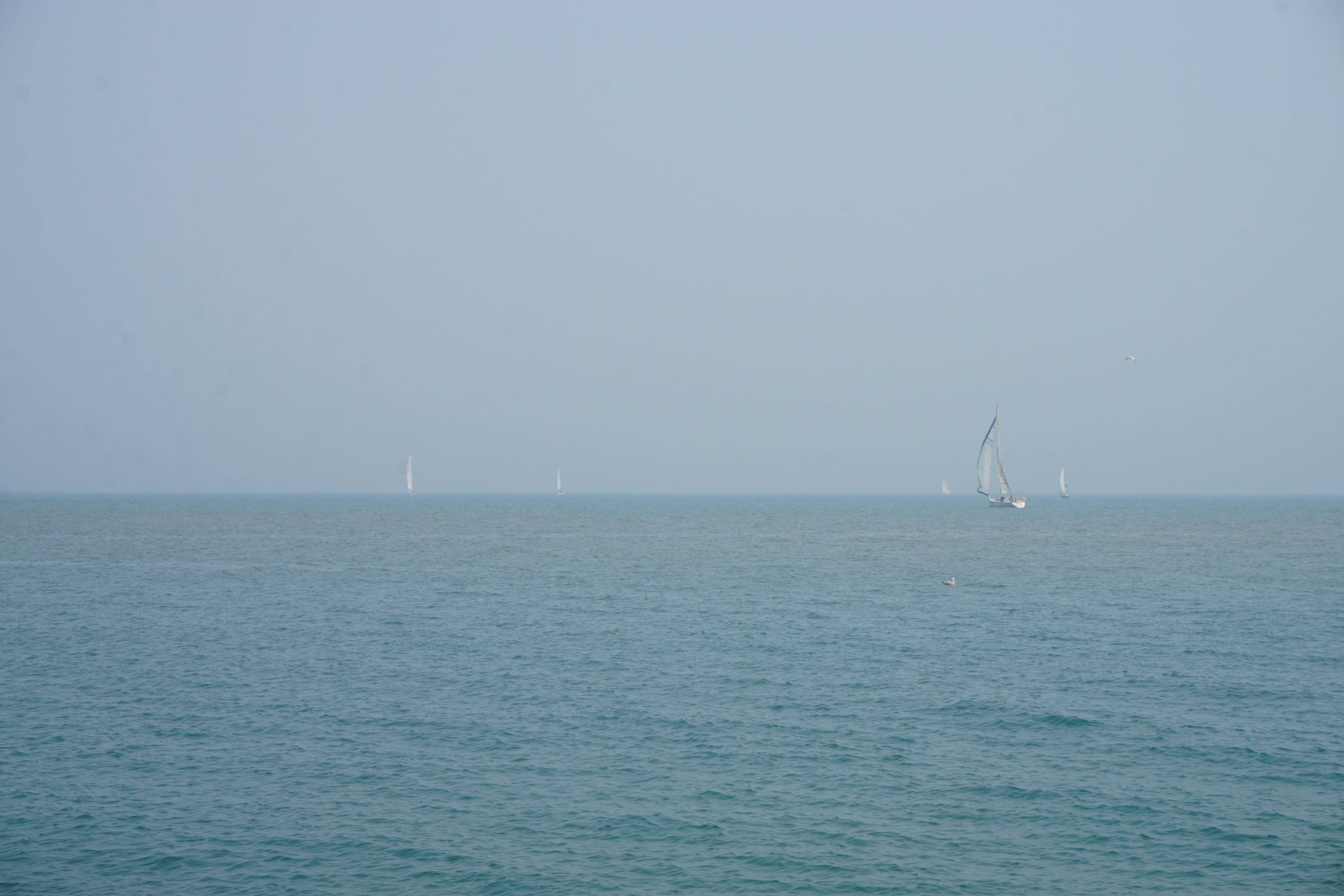 Places to Get Married on Lake Michigan