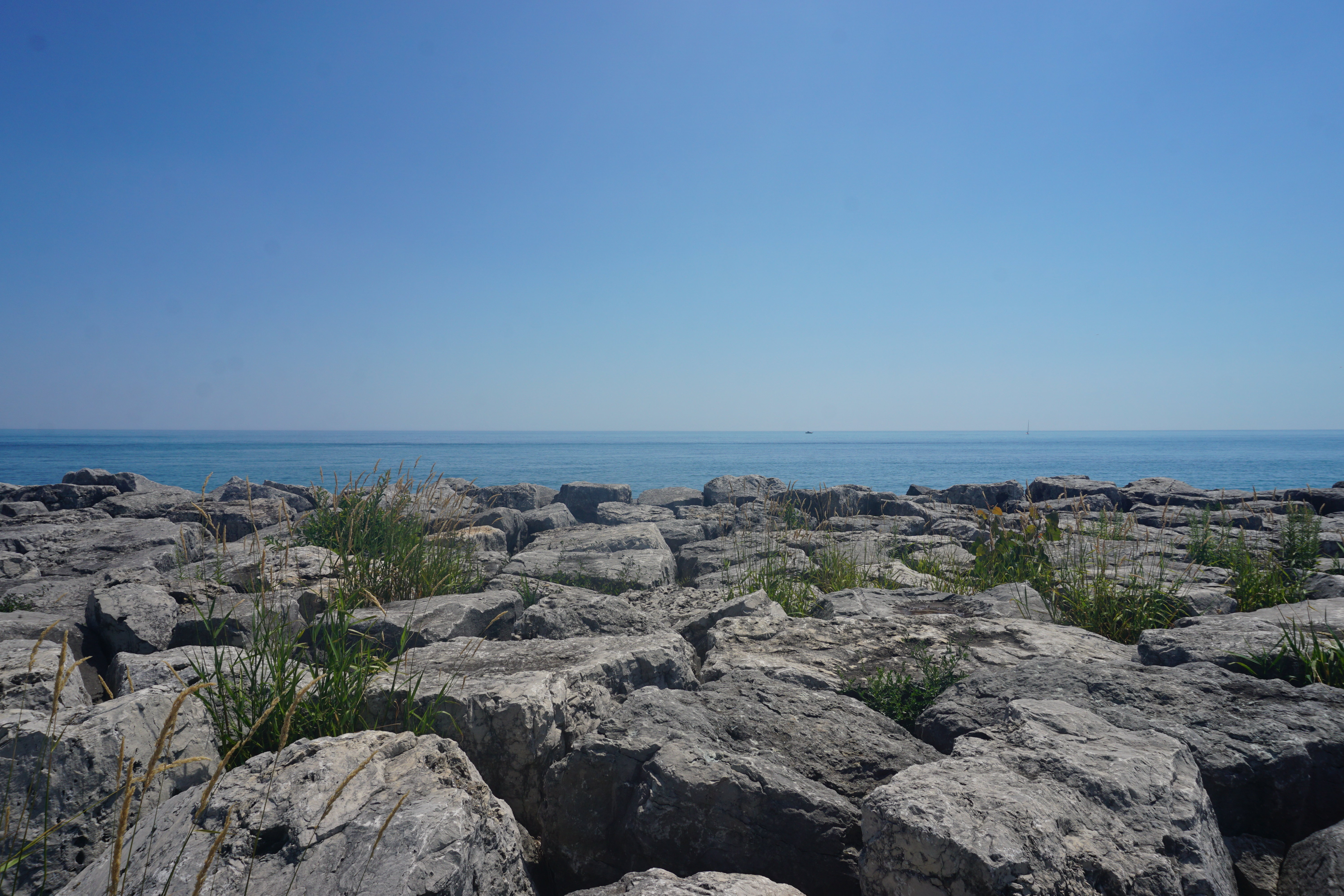 Lake Michigan Coal