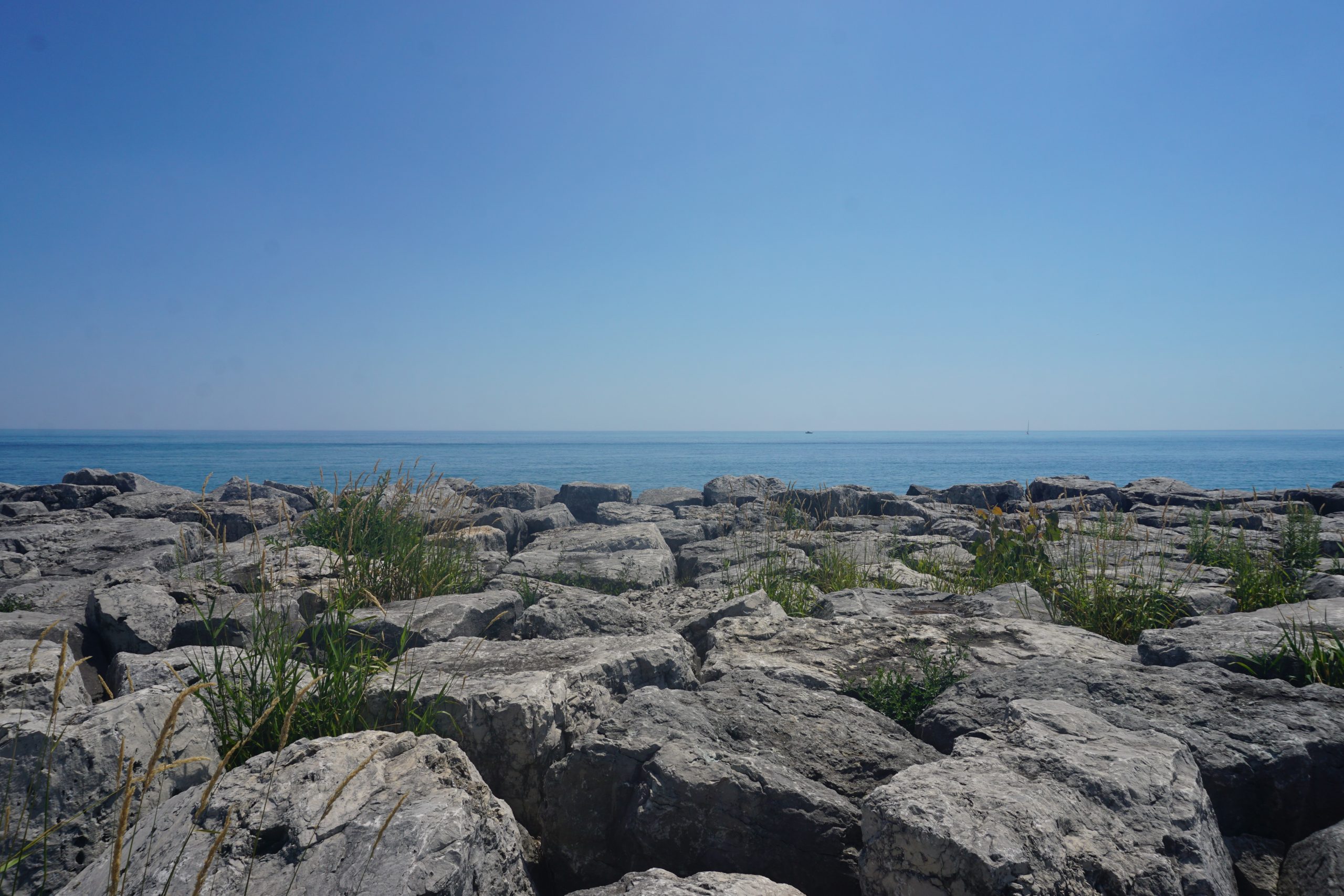 Algae in Lake Michigan