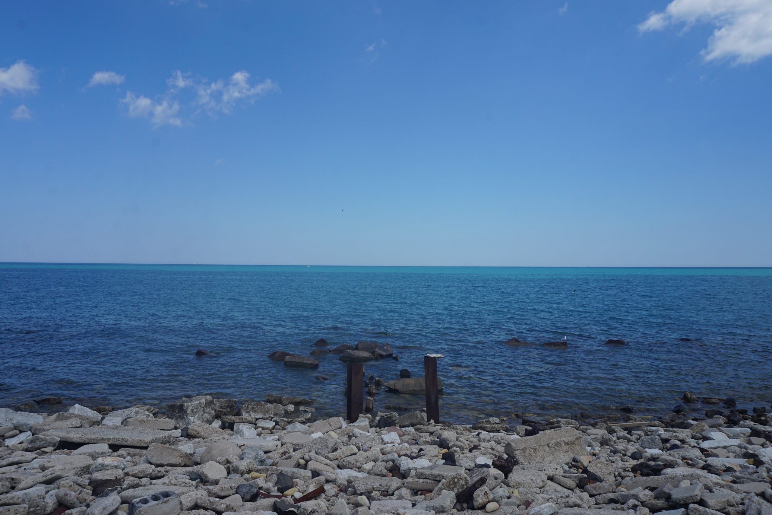 Lake Michigan Surface Temperature