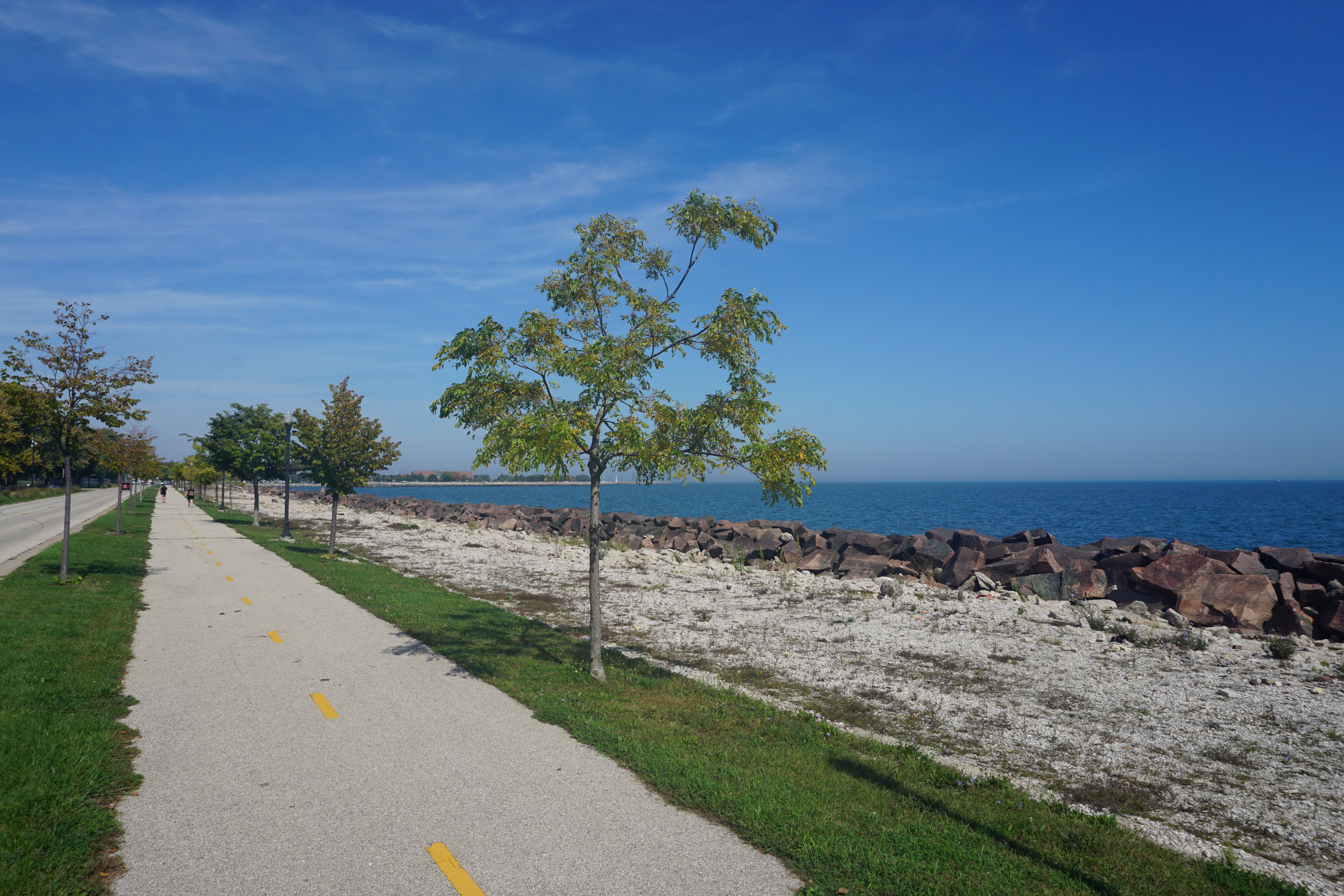 Lake Michigan Toxic Algae Bloom