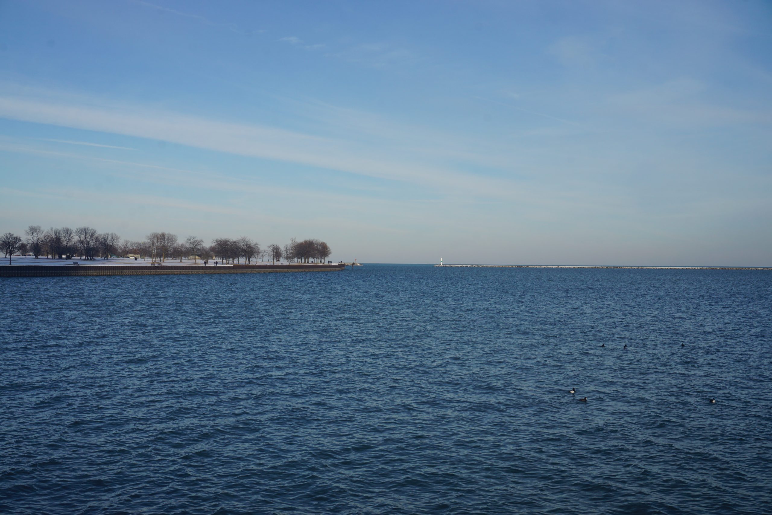 Chicago Lake Michigan Jumper