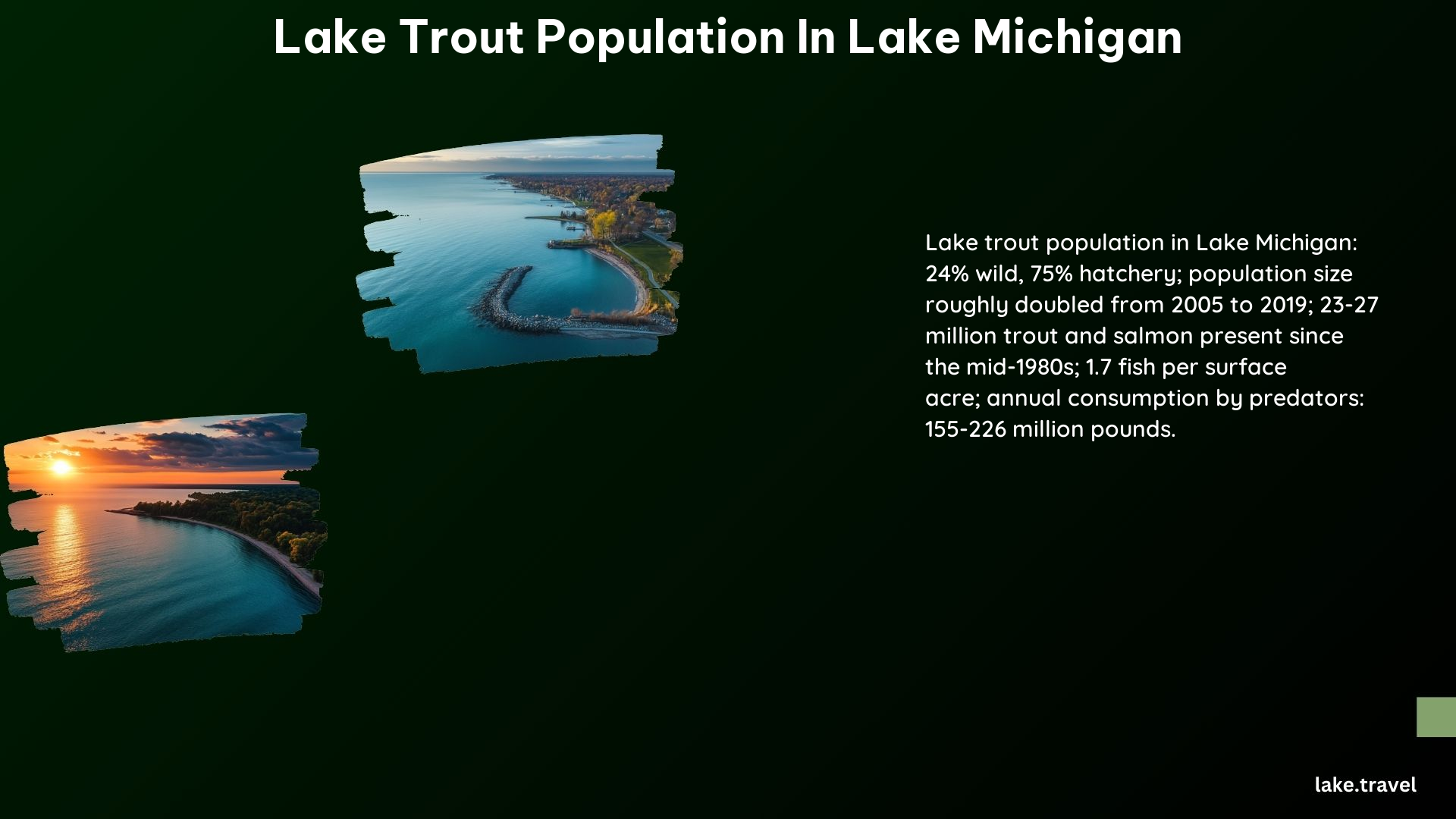 Lake Trout Population in Lake Michigan