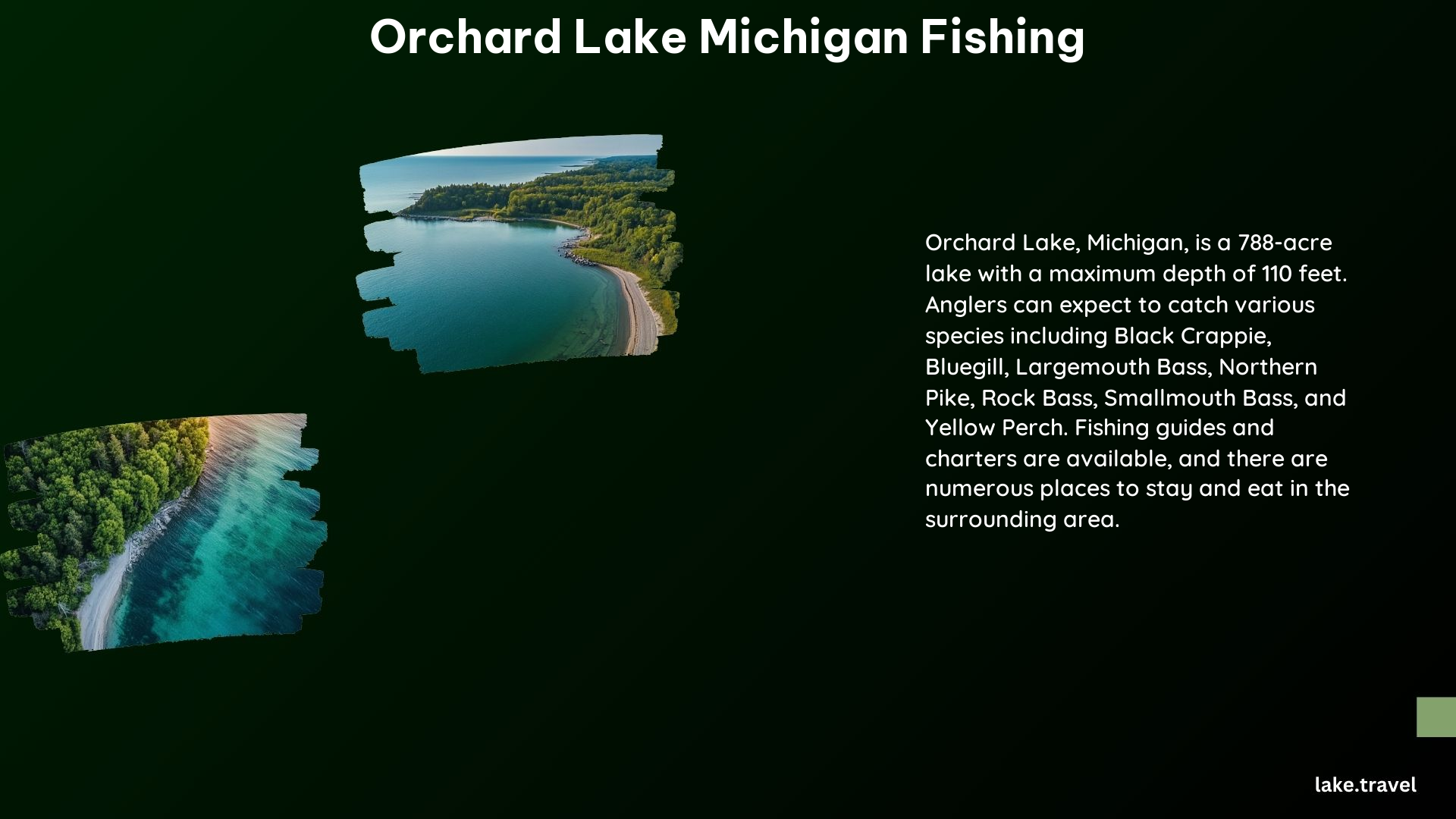 Orchard Lake Michigan Fishing