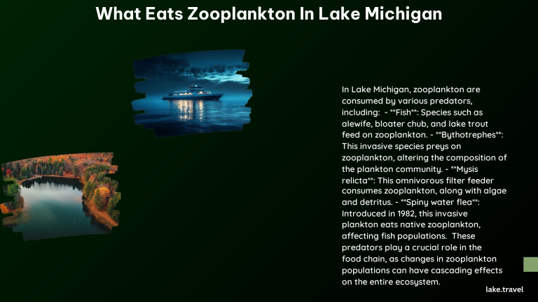 What Eats Zooplankton in Lake Michigan