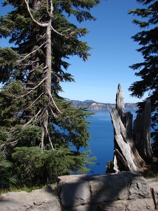 crater lake food web