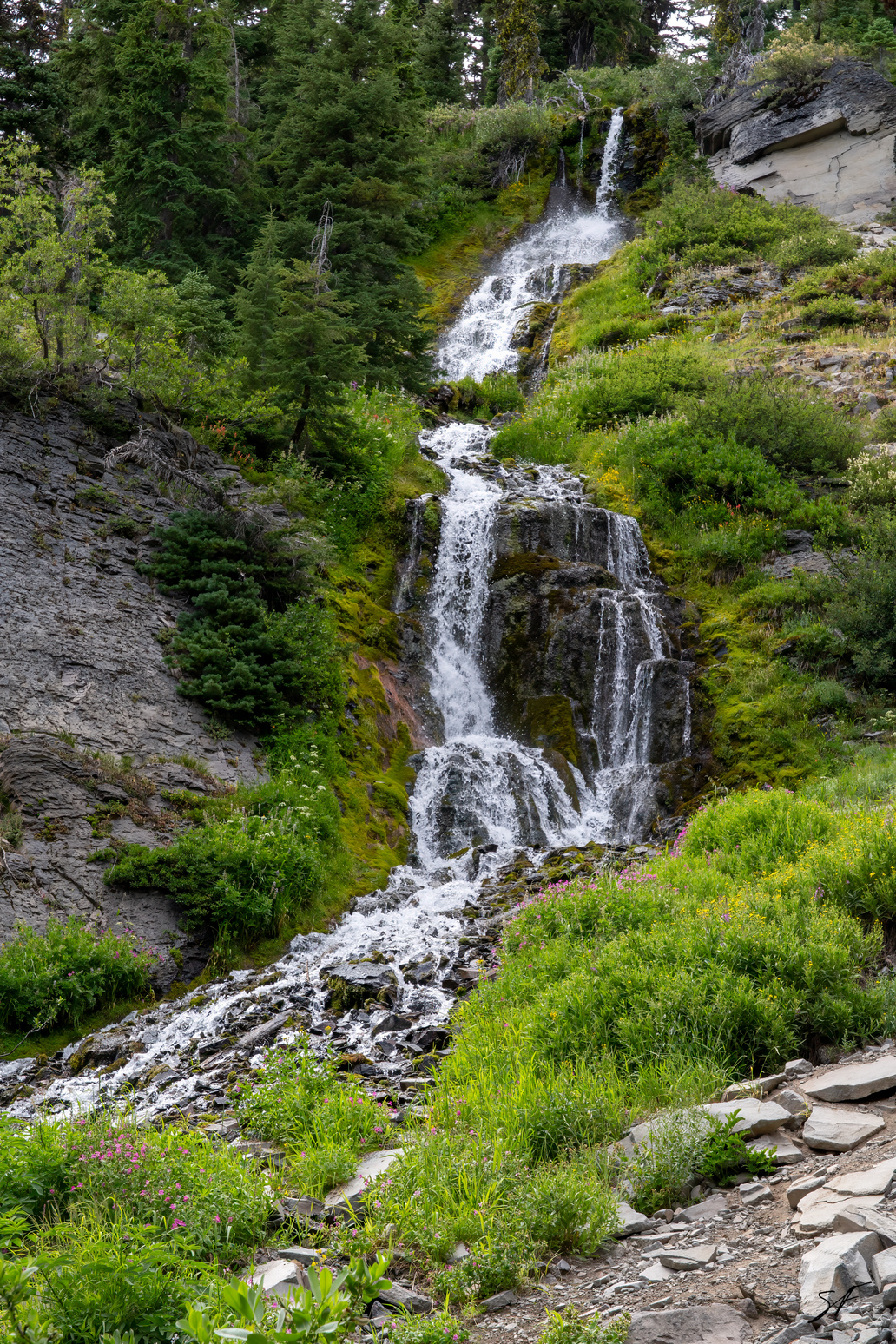 crater lake bear spray