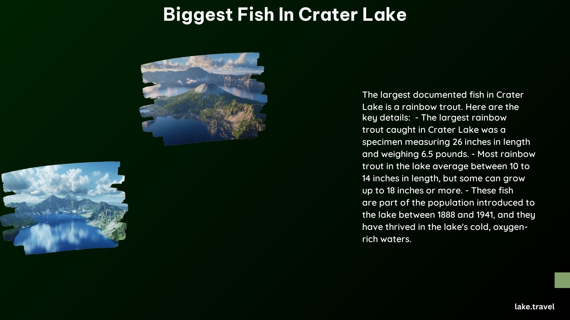 biggest fish in crater lake