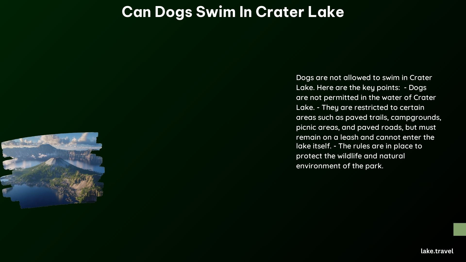 can dogs swim in crater lake