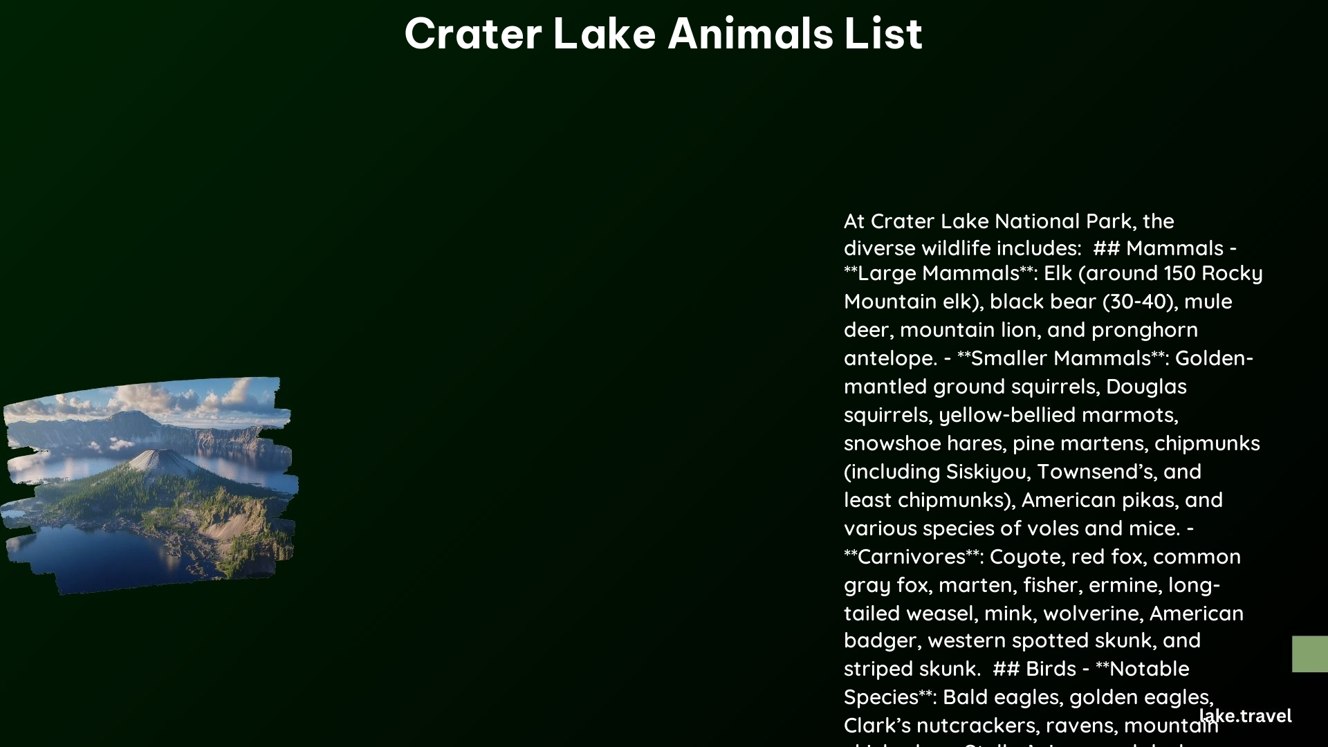 crater lake animals list