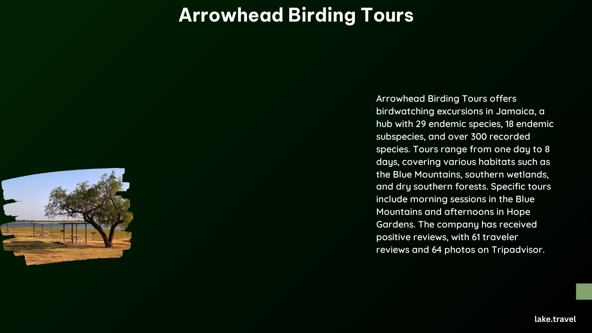 arrowhead birding tours