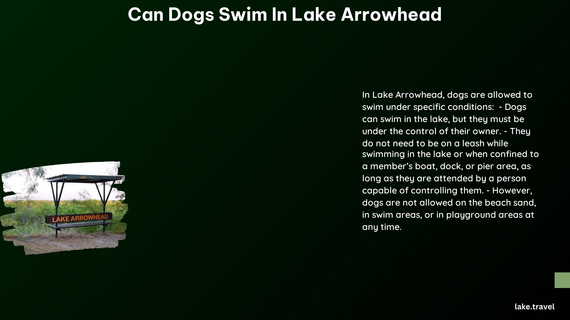 can dogs swim in lake arrowhead