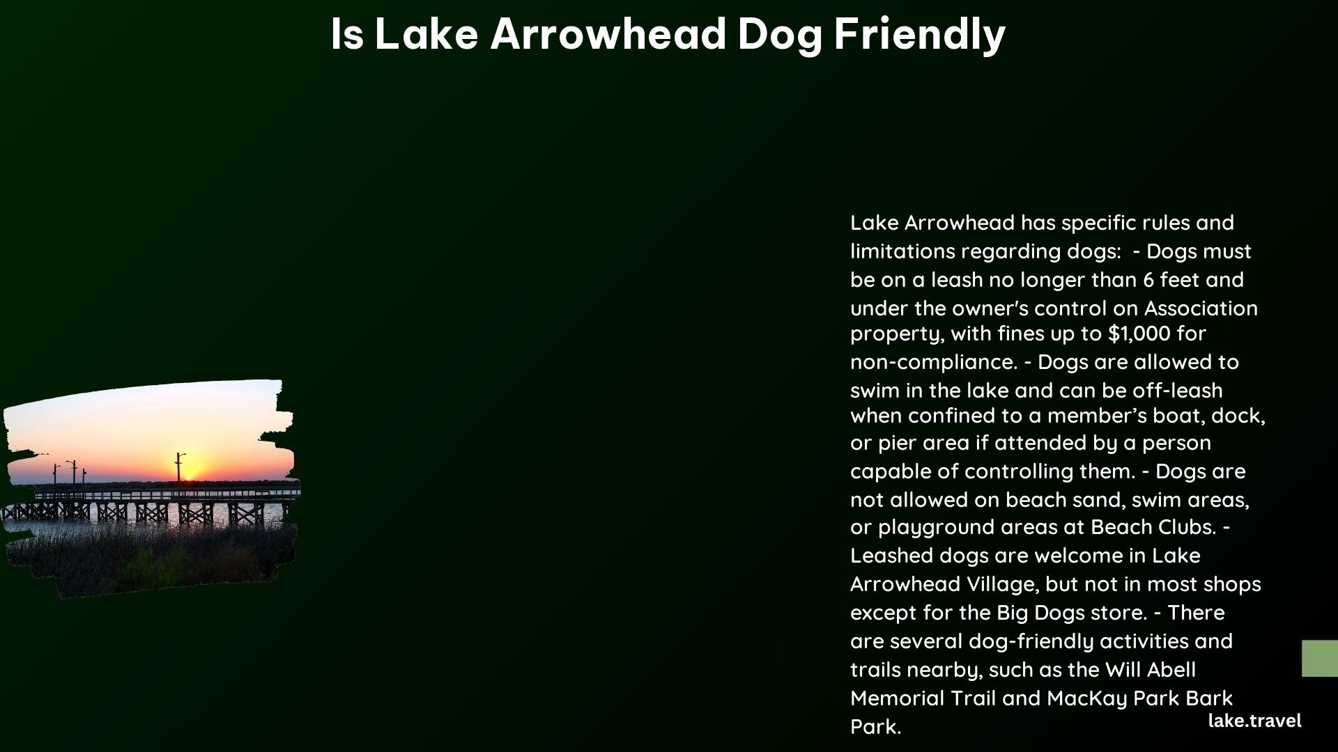 is lake arrowhead dog friendly