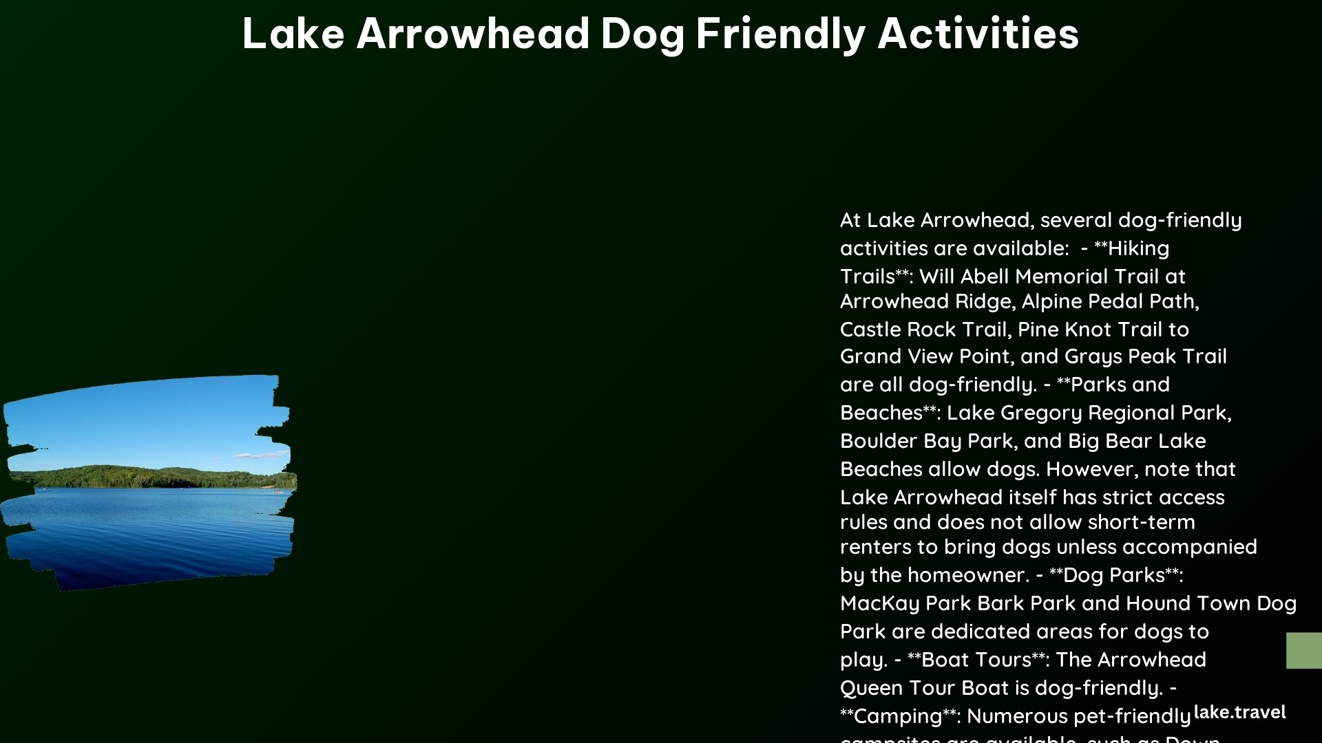 lake arrowhead dog friendly activities