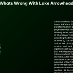 whats wrong with lake arrowhead