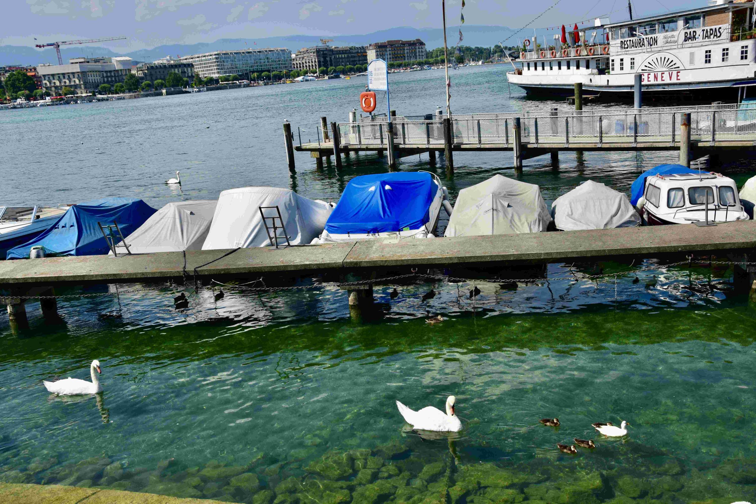 santa claus cruise lake geneva