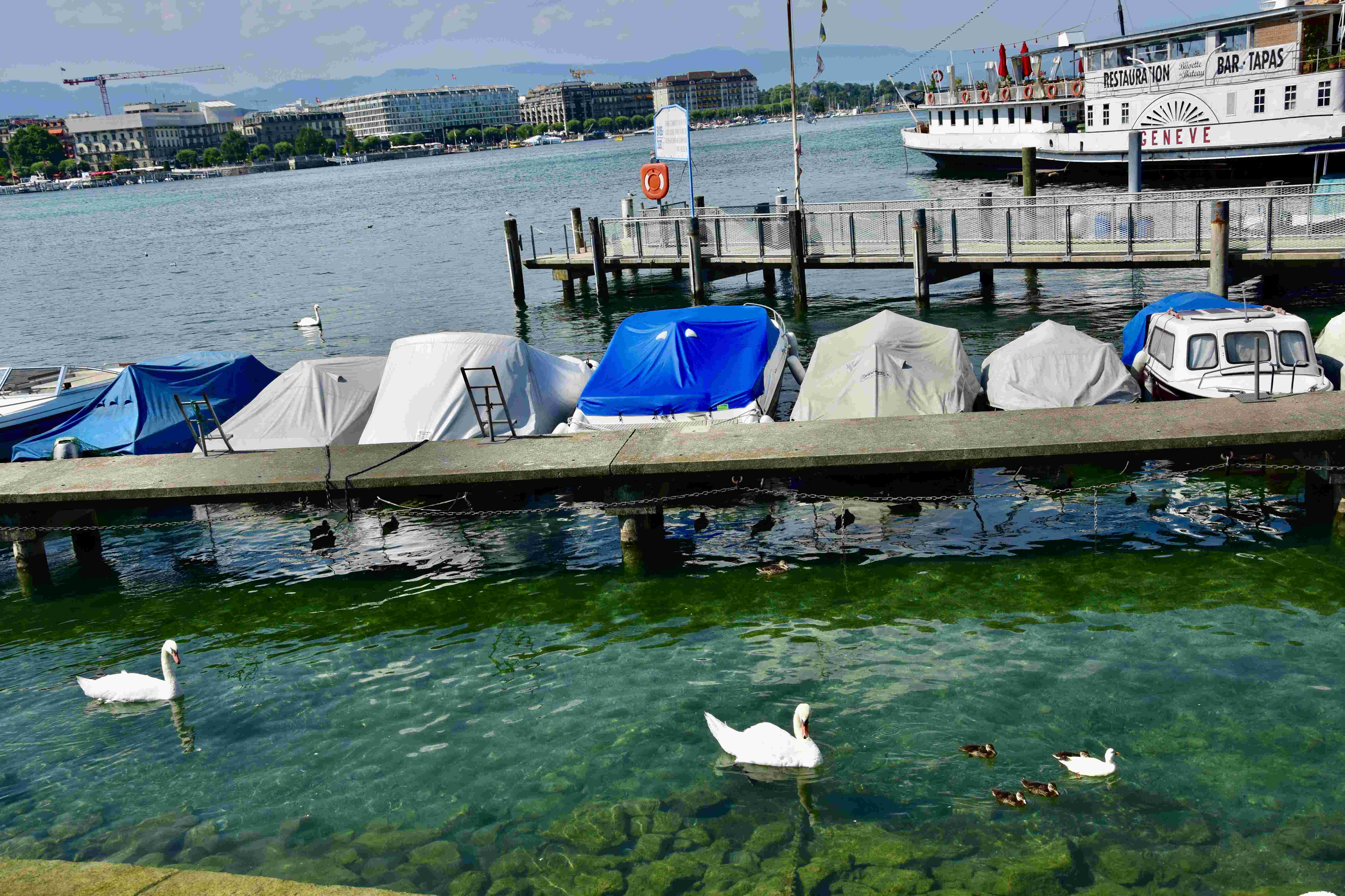 sheldon house lake geneva