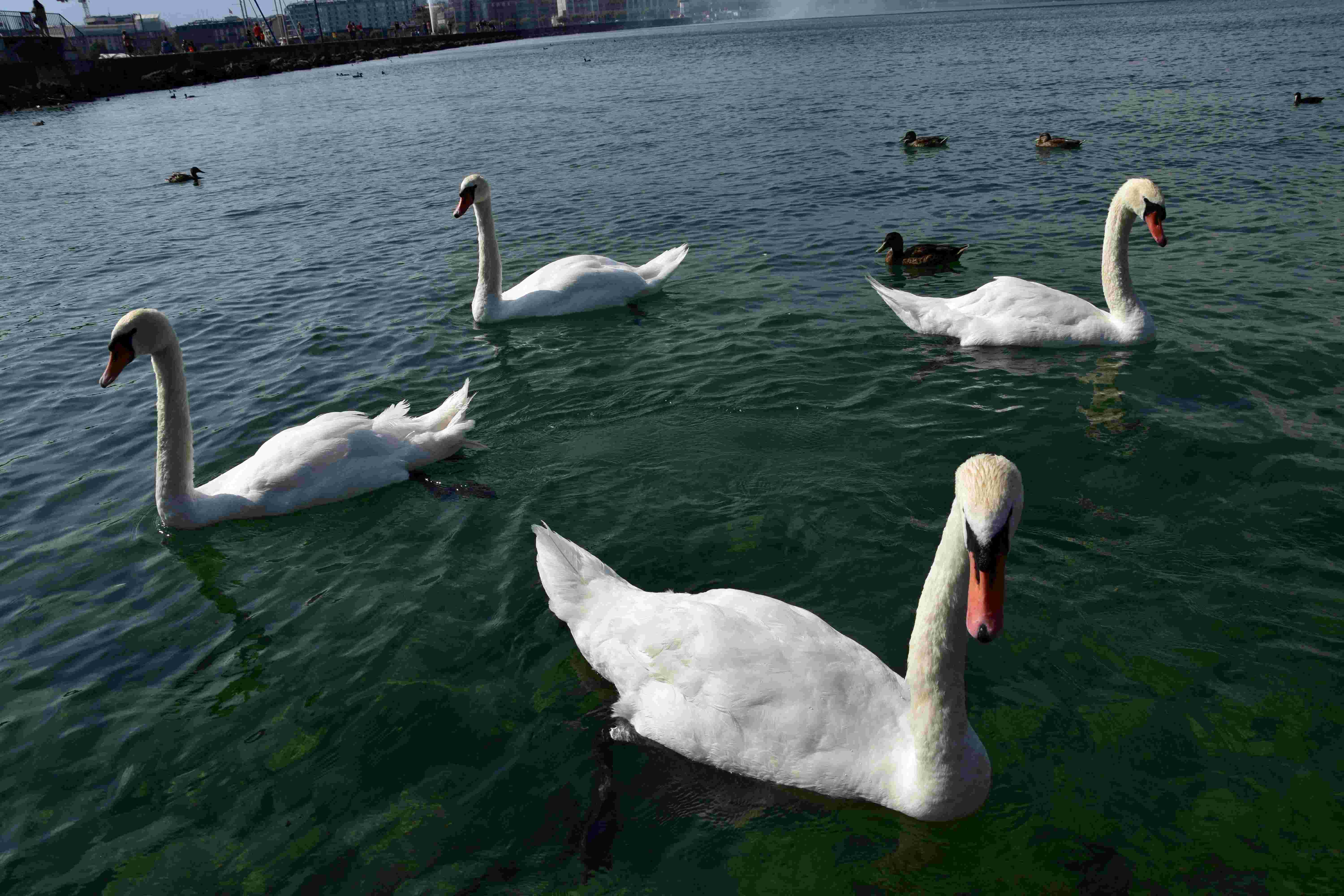 lake geneva metal sculptures