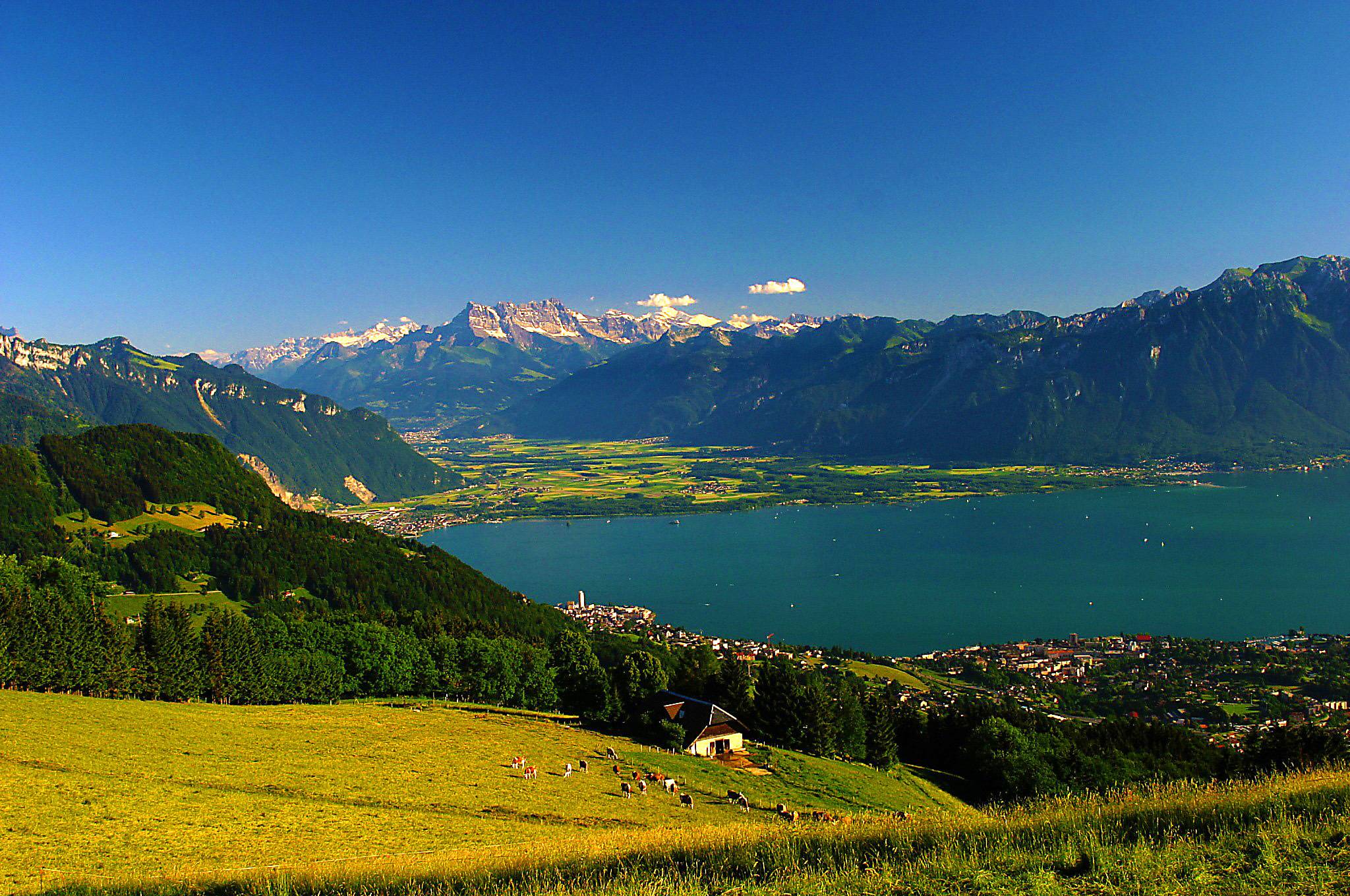 bluegreen at lake geneva